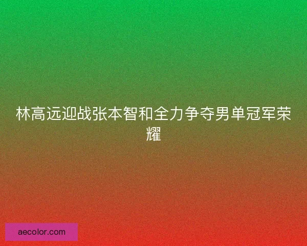 林高远迎战张本智和全力争夺男单冠军荣耀