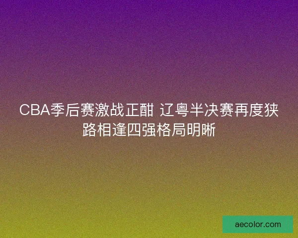 CBA季后赛激战正酣 辽粤半决赛再度狭路相逢四强格局明晰 CBA季后赛激战正酣 辽粤半决赛再度狭路相逢四强格局明晰